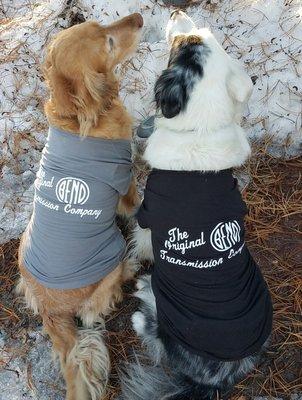 Our shop dogs, Dakota and Cloey!