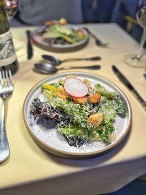 Butterhead Lettuce, AM Caesar, Butter Garlic Crouton