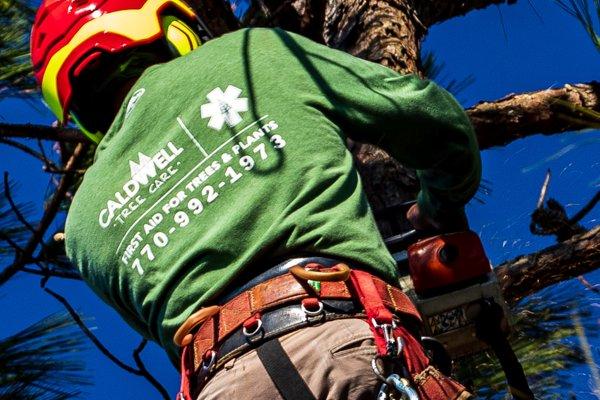 Caldwell Tree Care