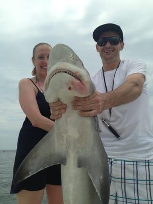 Big Sand Shark!