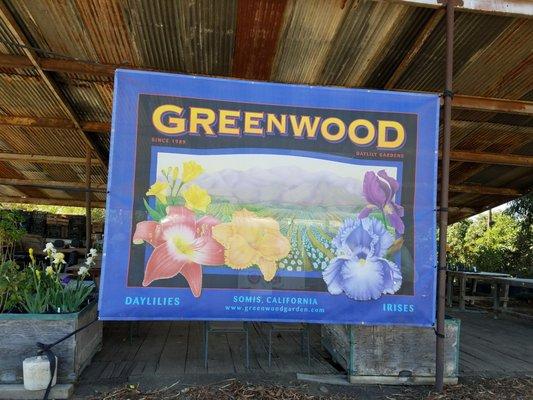 The Greenwood logo at the old shed.