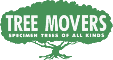 Tree Movers