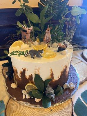 Safari theme cake