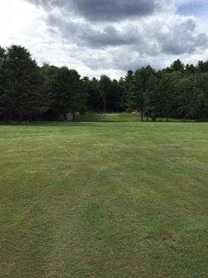 Tough approach shot surrounded by trees!