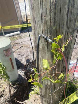 Broken severed internet and cable tv cable hanging (still live)