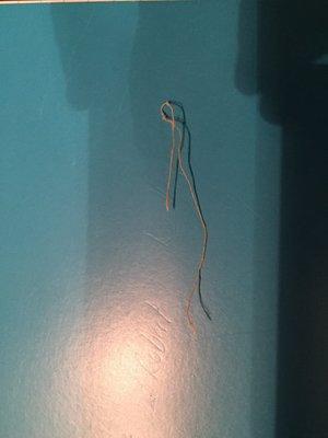 String found in Kung Po