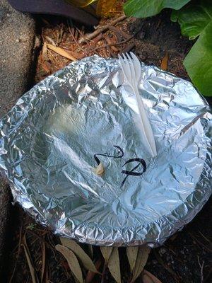 Buenisimos los tacos de tan vuenos nomas quedo el puro plato con el aluminio