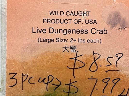 Large live crab