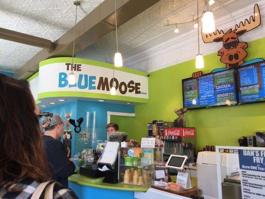 The Blue Moose