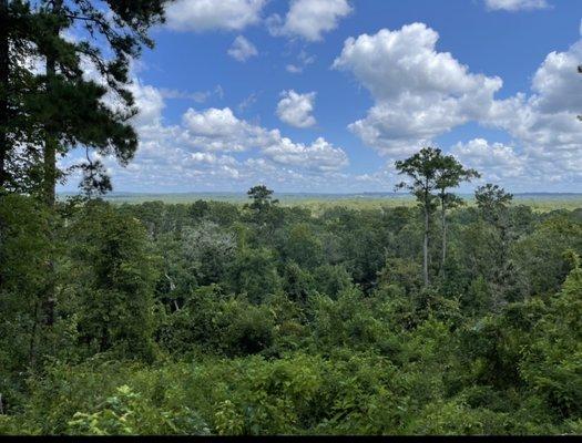 Great look-out spot - you can see for miles!