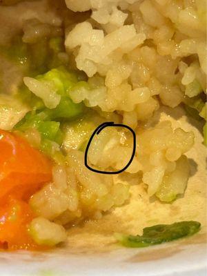 That is a clump of rice where you can see it is not fully cooked. And when I broke a grain apart in my fingers it was powdery.