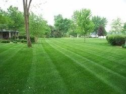 Lawn Care Service