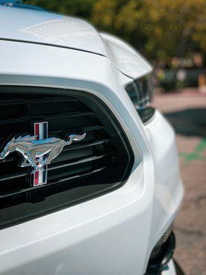 Close up photos of a step 3 detail done on a 2016 Ford Mustang California Edition.