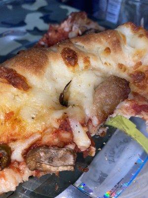 Bug in pizza!!