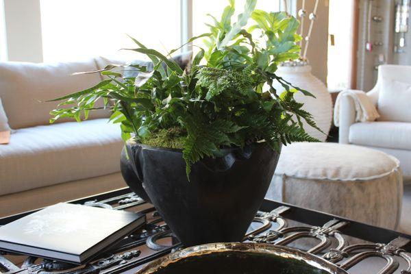 burnt teak dulang bowl on great grate table - with ferns @artefacthome