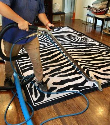 Filo and Victor's Carpet Cleaning