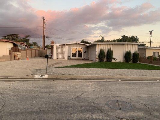 Driveway and front yard