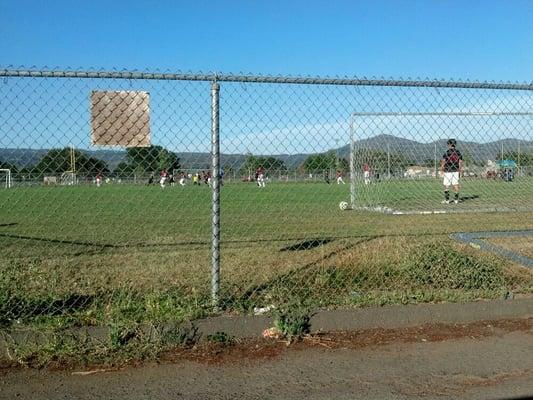 Norcal soccer...