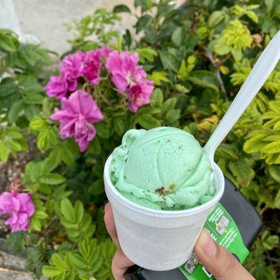 Pistachio ice cream in a kiddie cup