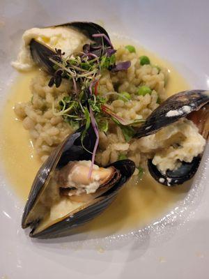 Mussels with risotto