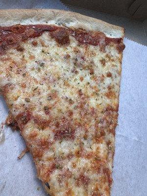 Plain Pizza Slice