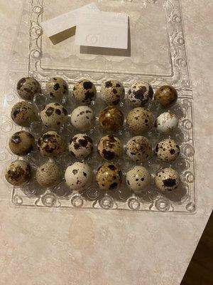 Quail eggs