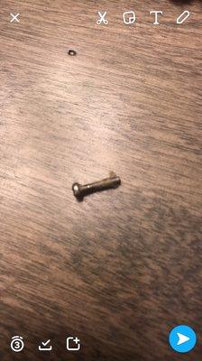 This is the screw that I found in the shrimp egg roll