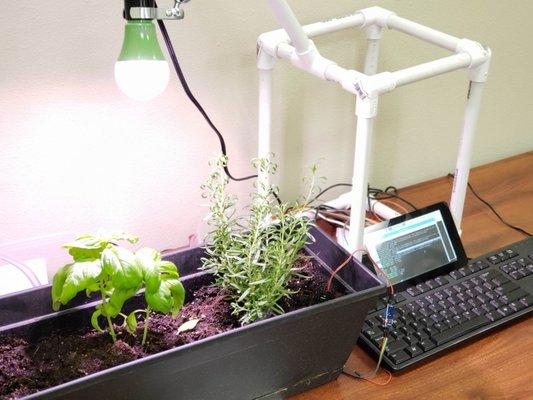 Raspberry pi garden