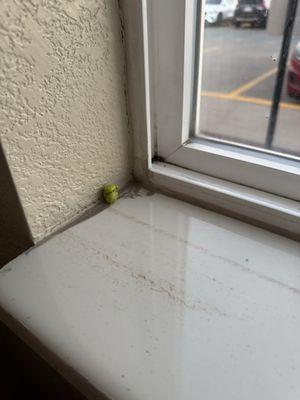 Eewww. Old, Green, gum, stuck on windowsill with dirt around it.