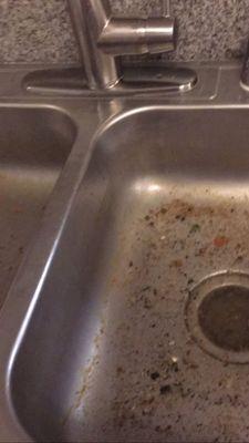 Backed up sinks/clogged drains maintenance weeks to come