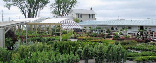 Forever Green Nursery with the widest selection of trees, shrubs & perennials in our area.