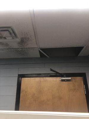 Mold in the ceiling