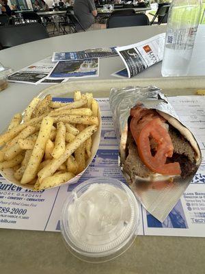 Gyro & fries