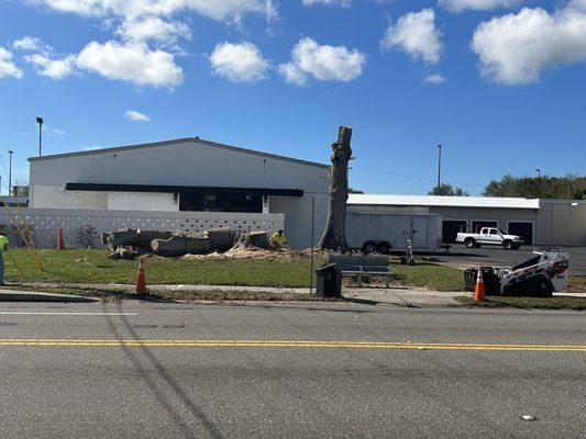 Trees being removed.