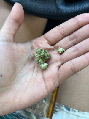 Dry ass weed