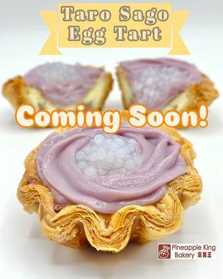 Coming Soon! NEW Taro Sago Egg Tart