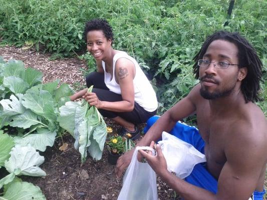 Collards at MUFI