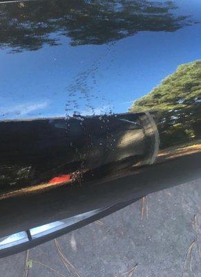 Paint bubbles on car they refused to fix.  Manager said, "This is a great Econo paint job."