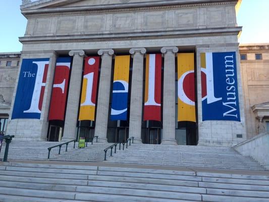 The field museum