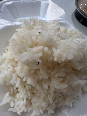 Bugs in rice