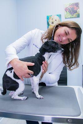 Dr. Nai Veterinarian examines a dog