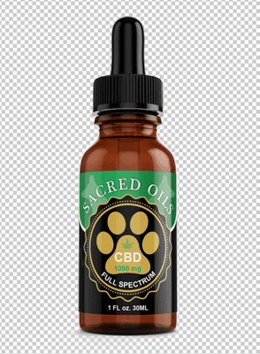 PET CBD