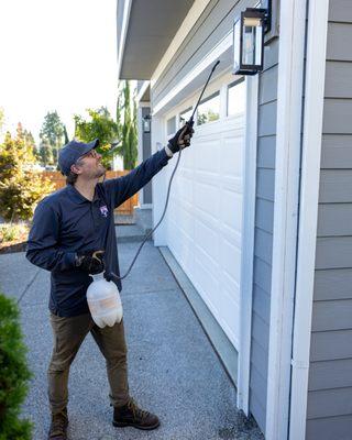 Spraying around lights for spiders.