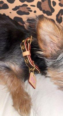 Dog collar