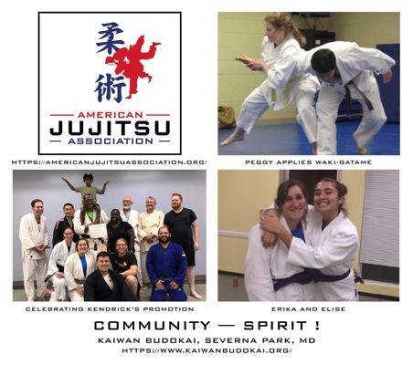 Proud member of the American Jujitsu Association.  We are a community.