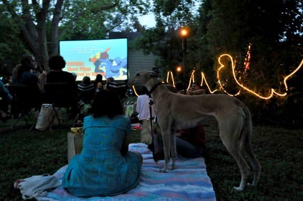 Outdoor screening at Aurora Video Library.  Screenings are nomadic and travel all over the city