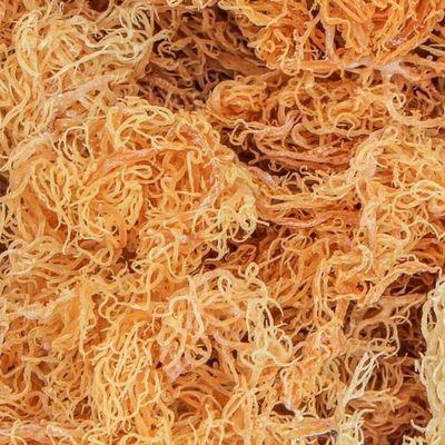 Wild crafted sea moss is put into every product