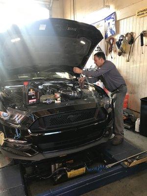 Oil change on the mustang GT. Full synthetic Motul Oil.