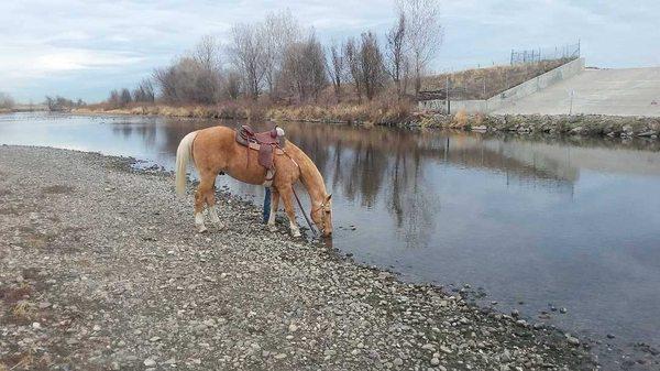 Next to Platte River Greenbelt.