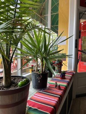 Window bays filled with plants.